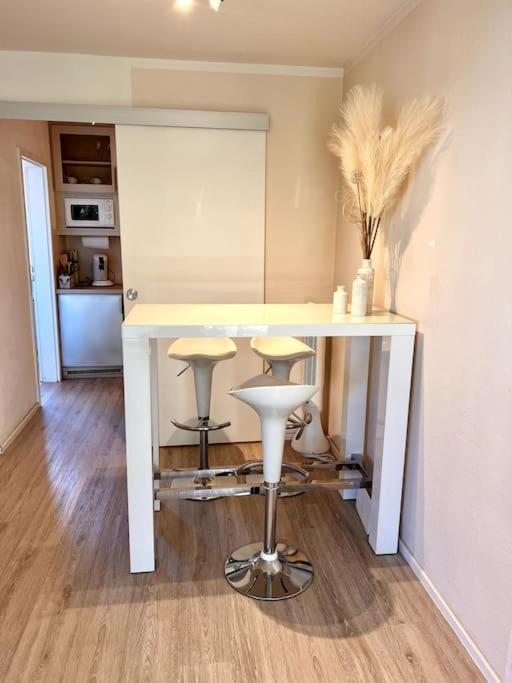 Stylish Studio Apartment With Beautiful Balcony 因戈尔施塔特 外观 照片